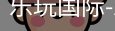 乐玩国际网站